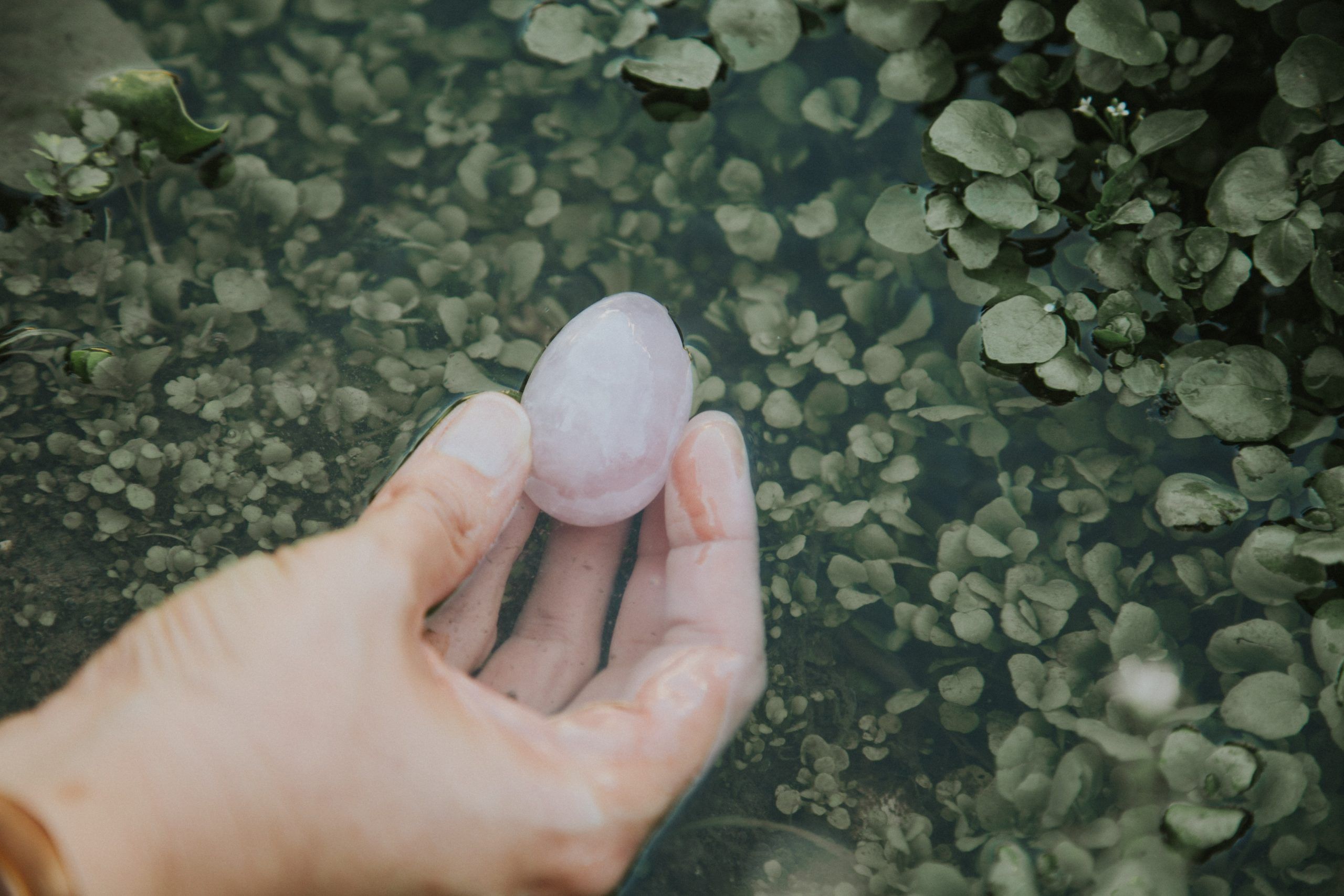 huevoyoni.es_huevo_cuarzo_rosa_agua_foto_meri_yein